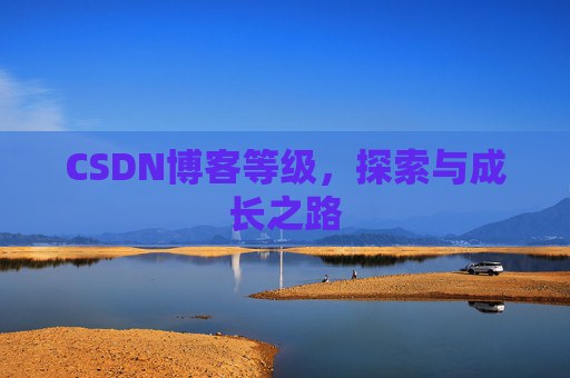 CSDN博客等级,探索与成长之路