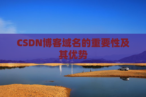 CSDN博客域名的重要性及其优势